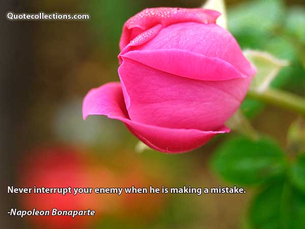 Napoleon Bonaparte Quotes3